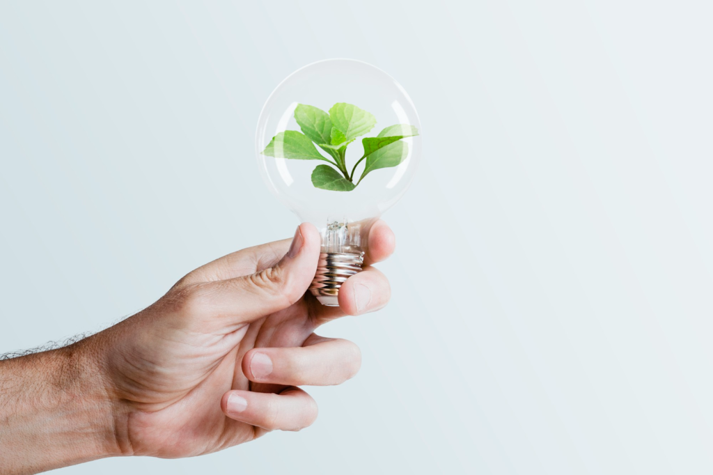 Distribuidor de Materiais Elétricos: Suporte Essencial para Seu Projeto Luminotécnico